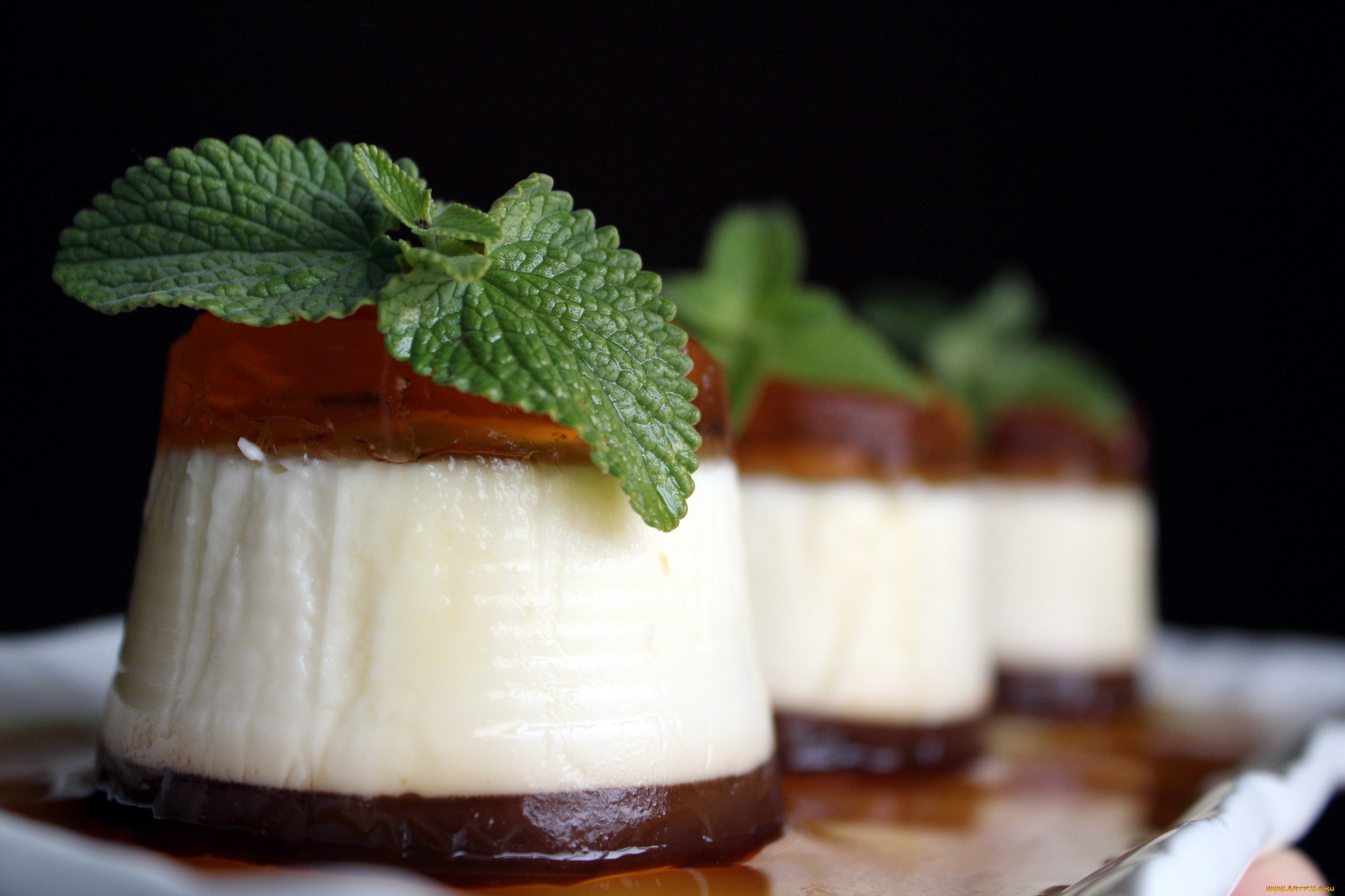 , ,  , , panna, cotta